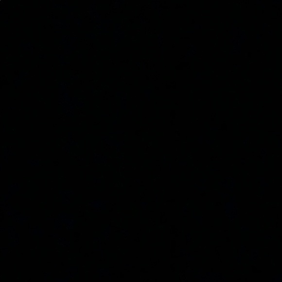 Meet your Posher, Cece - Picture 1 of 1